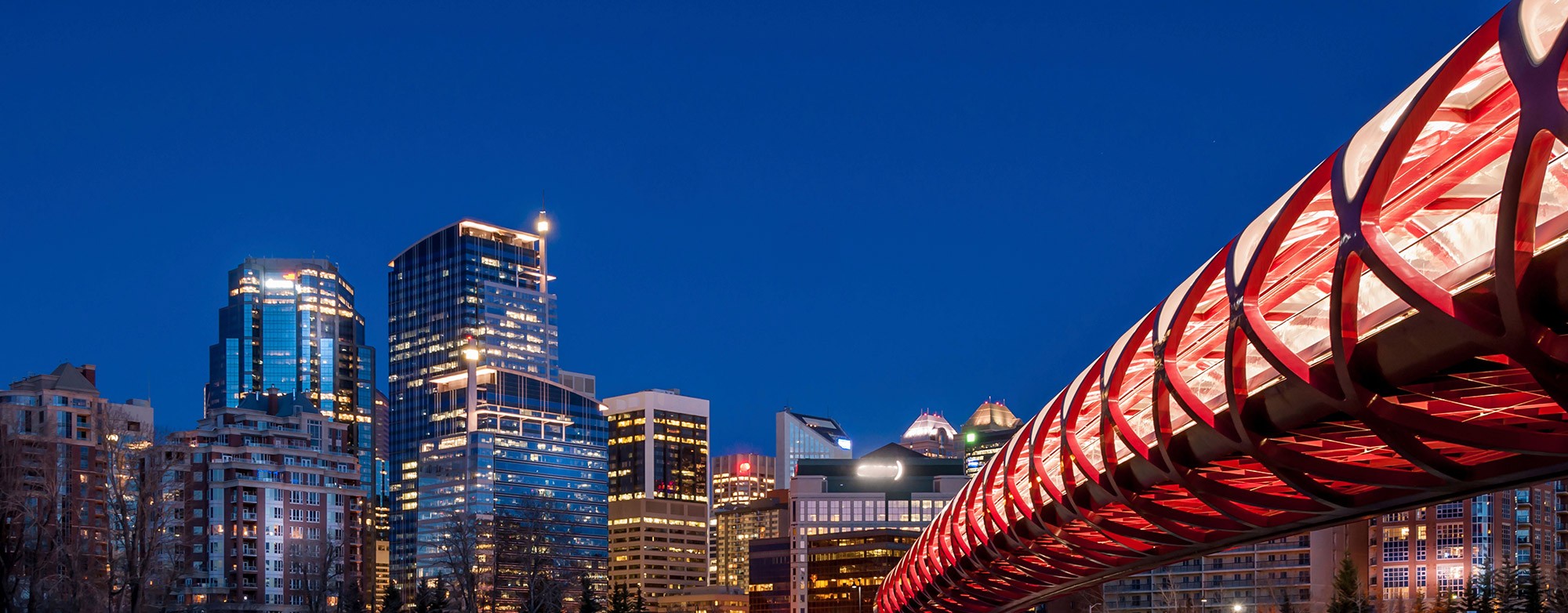 digital marketing agency, calgary
